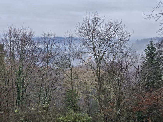 Auf dem Weg zum Naturfreundehaus. Es wird eindeuti