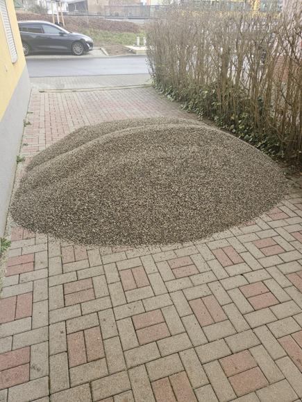 Riesel ist auch schon da (1,6qm). Das muss jetzt a