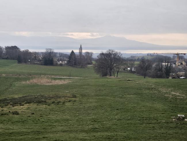 Und zurück zum Genfer See