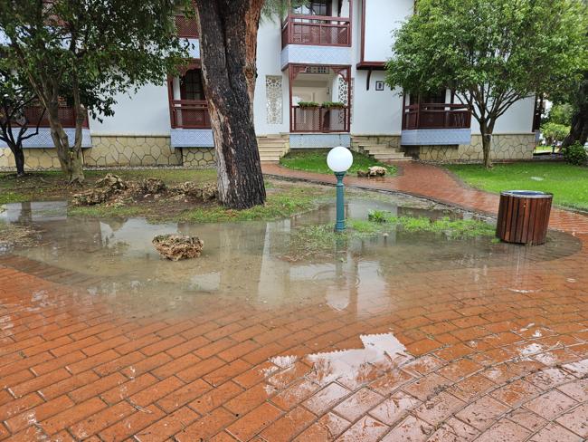 So viel Regen sind die nicht gewöhnt