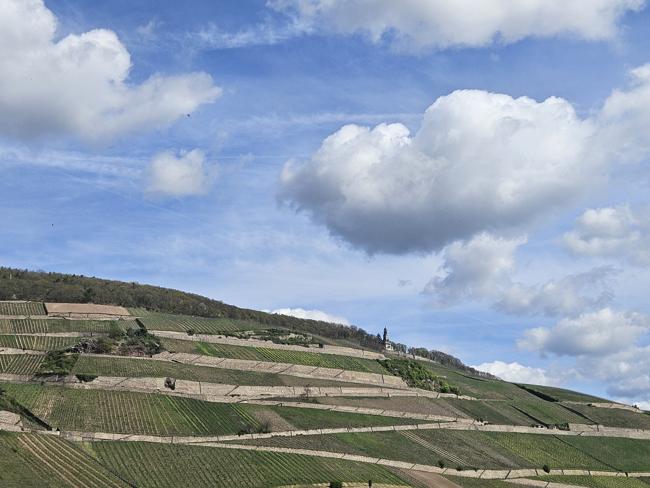 Gegenüber sind die Rüdesheimer Weinberge