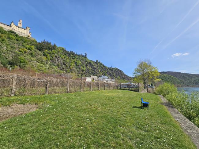 Und Rastplatz kurz hinter Braubach gefunden