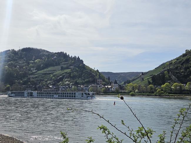 gegenüber von Oberwesel