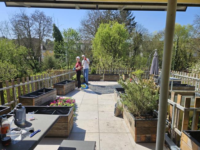 Großer Arbeitseinsatz für die Blumenkübel