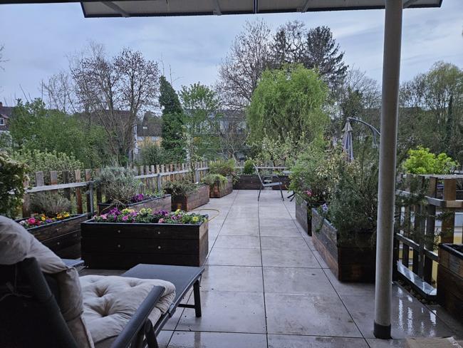 Terrassenpeflanzung ist (fast) fertig. Großer Arbe