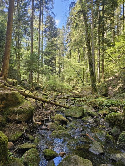 Natur pur