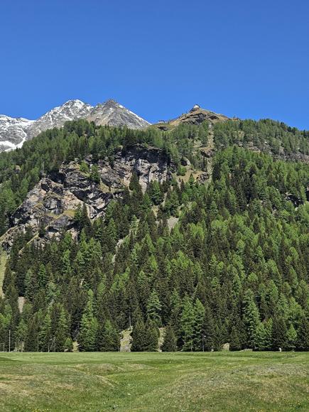 Blick zurück nach oben