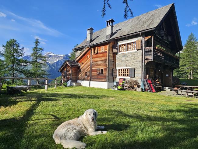 Drei Nächte auf der Alpe Deverox. Norditalien, Val