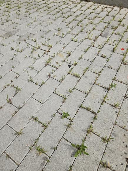 Der Parkplatz gegenüber von unserem Haus. Letztes 