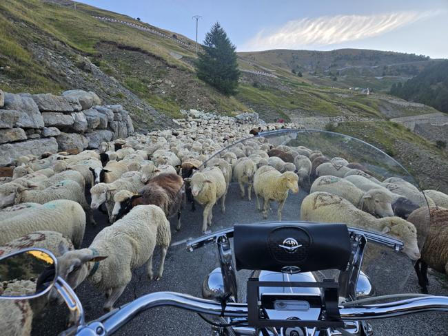 Am nächsten Morgen bei der Auffahrt auf den Col d 