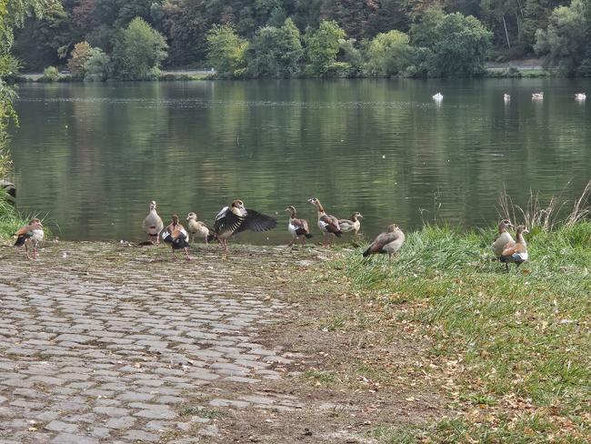 dann auch noch am Wasser.
