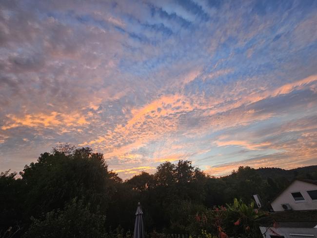 Mal wieder ein schöner Blick von der Terrasse