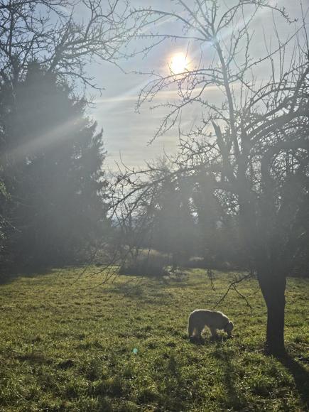 Der kürzeste Tag im Jahr ist sonnig und relativ wa