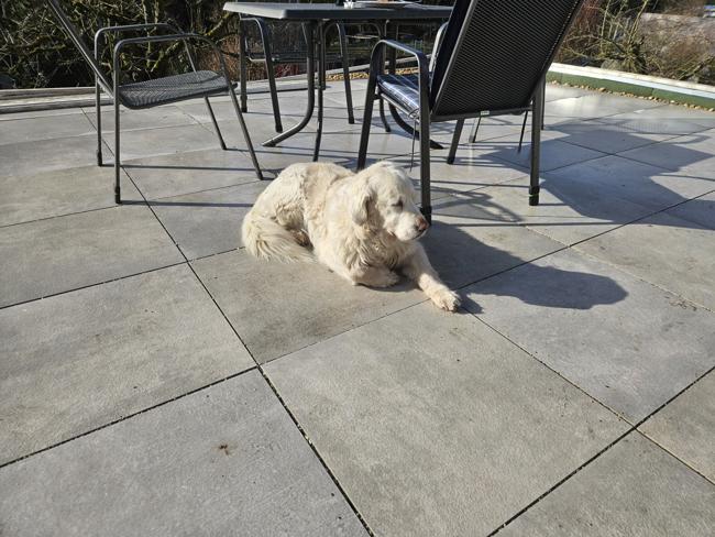 Und Luna fühlt sich auch schon wohl