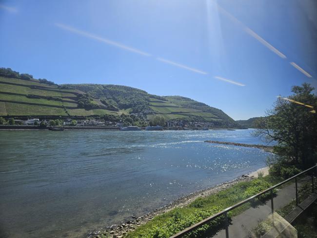 Der Rhein