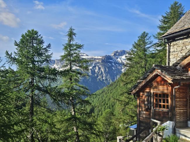Das Haus in einem Lärchenwäldchen und rundrum schö