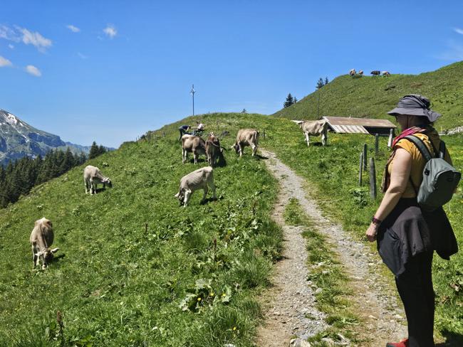 Kurzer Spaziergang