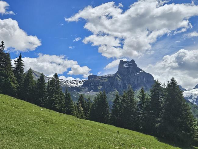 Abstieg zur Mittelstation