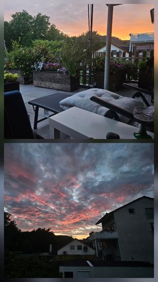 Auch zu Hause auf der Terrasse ist es immer wieder